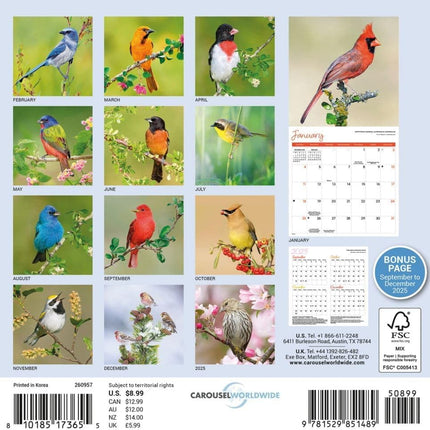 CarouselCalendars Songbirds Kalender 2026 Mini