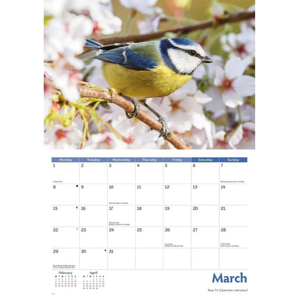 CarouselCalendars Tuinvogels A4 Kalender 2027