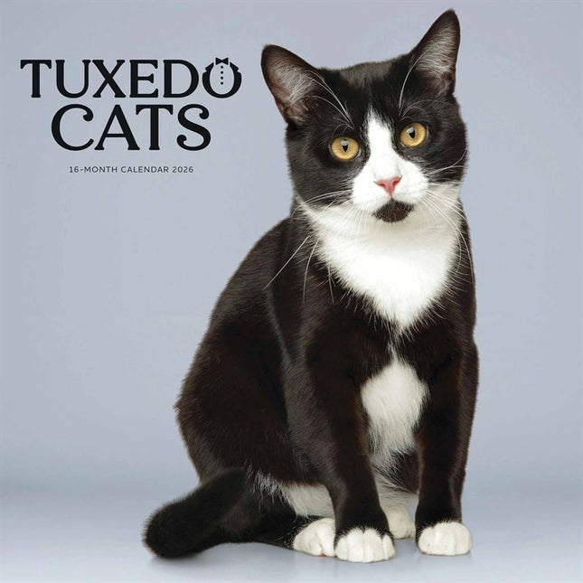 CarouselCalendars Tuxedo Katten Kalender 2026