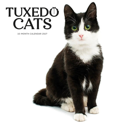 CarouselCalendars Tuxedo Katten Kalender 2027