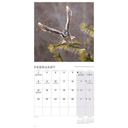 CarouselCalendars Uilen Kalender 2027 Mini