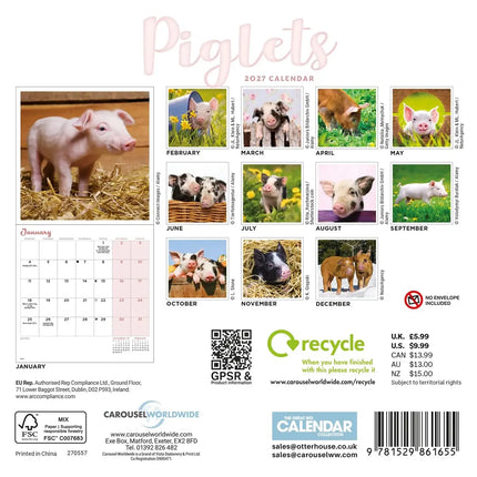 CarouselCalendars Varken Kalender 2027 Mini