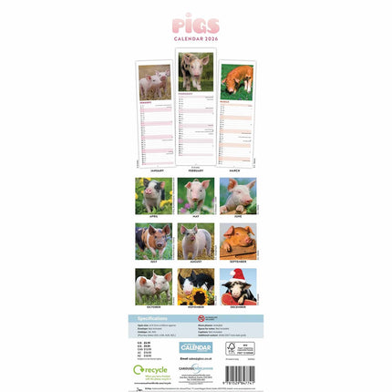 CarouselCalendars Varkens Kalender Slimline 2026