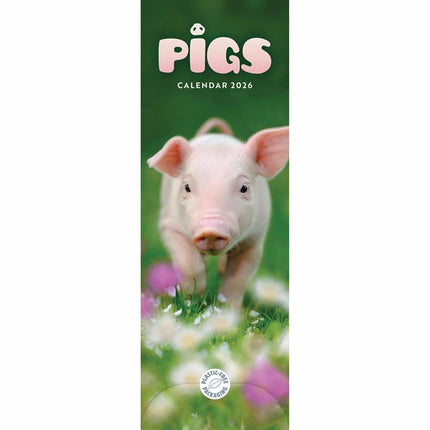 CarouselCalendars Varkens Kalender Slimline 2026