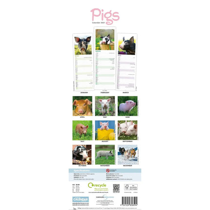 CarouselCalendars Varkens Kalender Slimline 2026
