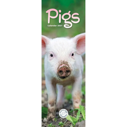 CarouselCalendars Varkens Kalender Slimline 2026