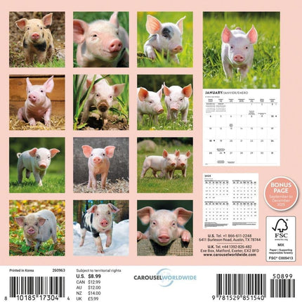 CarouselCalendars Varkens Mini Kalender 2026