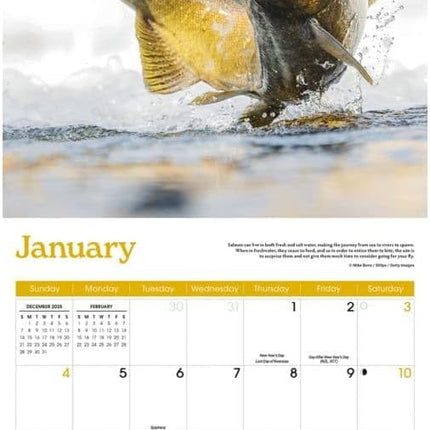 CarouselCalendars Vissen Kalender 2026
