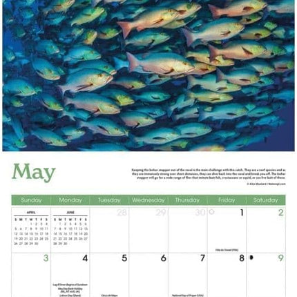 CarouselCalendars Vissen Kalender 2026