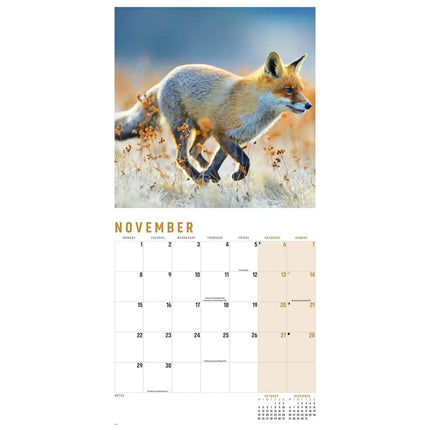 CarouselCalendars Vossen Kalender 2027