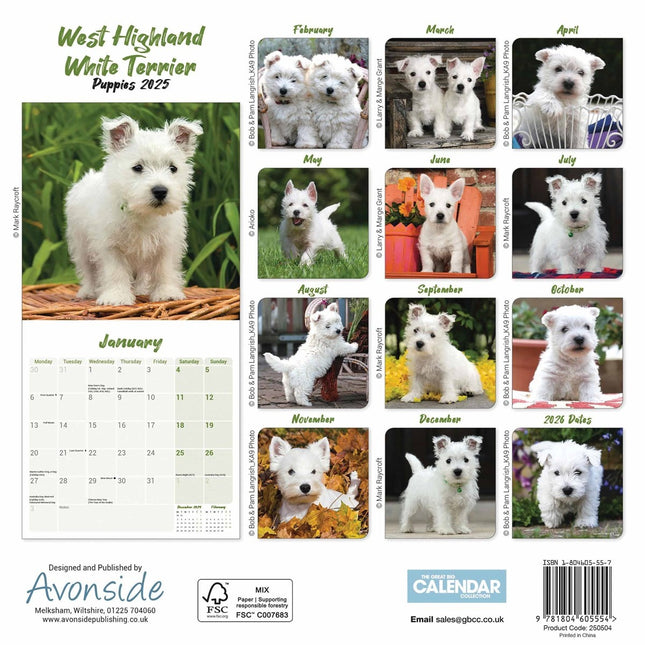 CarouselCalendars West Highland White Terrier Mini Kalender 2025