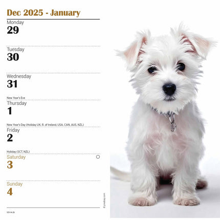 CarouselCalendars West Highland White Terrier Slim Agenda 2026