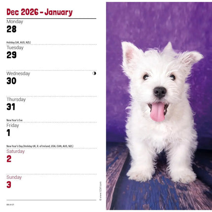 CarouselCalendars West Highland White Terrier Slim Agenda 2027