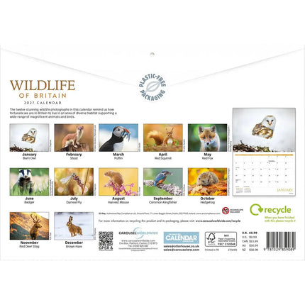 CarouselCalendars Wildlife Of Britain A4 Kalender 2027