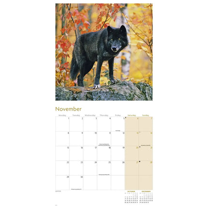 CarouselCalendars Wolven Kalender 2027