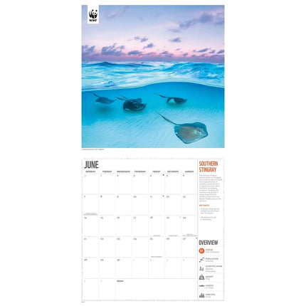 CarouselCalendars WWF Amazing Wildlife Kalender 2027