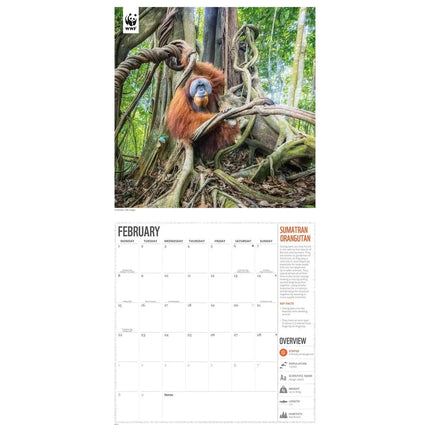 CarouselCalendars WWF Amazing Wildlife Kalender 2027
