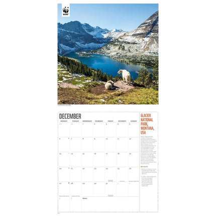 CarouselCalendars WWF Fragile Earth Kalender 2027