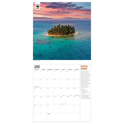 CarouselCalendars WWF Fragile Earth Kalender 2027