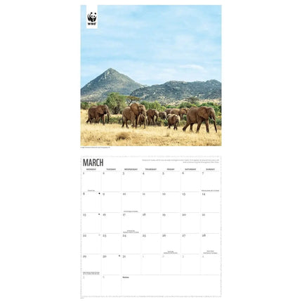 CarouselCalendars WWF Olifanten Kalender 2027