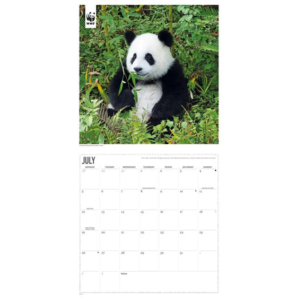 CarouselCalendars WWF Panda's Kalender 2027
