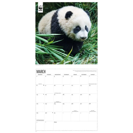 CarouselCalendars WWF Panda's Kalender 2027
