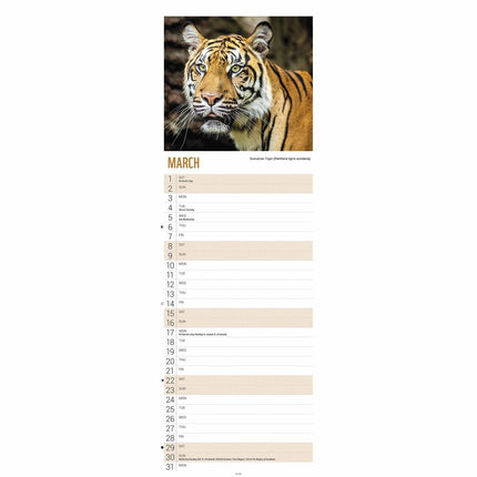 CarouselCalendars WWF Tijger Kalender 2025 Slimline