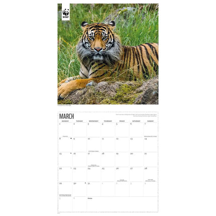 CarouselCalendars WWF Tijger Kalender 2027