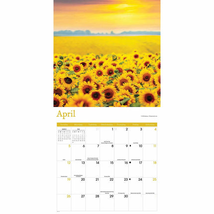 CarouselCalendars Zonnebloemen Kalender 2026