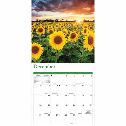 CarouselCalendars Zonnebloemen Kalender 2026