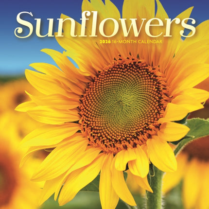 CarouselCalendars Zonnebloemen Kalender 2026 Mini