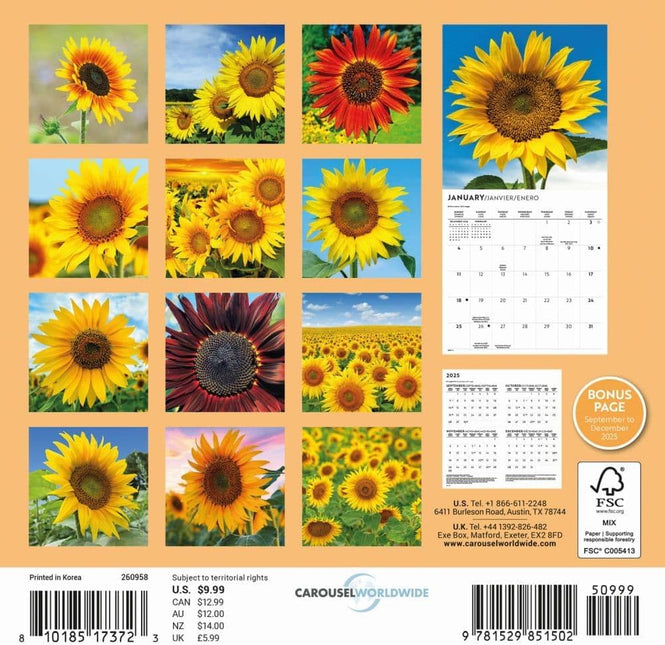 CarouselCalendars Zonnebloemen Kalender 2026 Mini