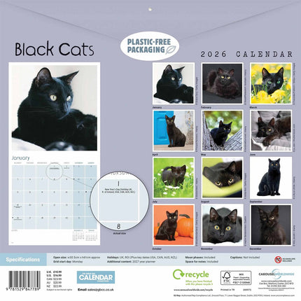 CarouselCalendars Zwarte Katten Kalender 2026