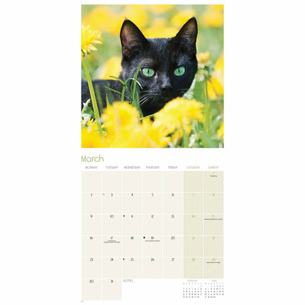 CarouselCalendars Zwarte Katten Kalender 2026