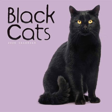 CarouselCalendars Zwarte Katten Kalender 2026