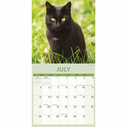 CarouselCalendars Zwarte Katten Kalender 2026
