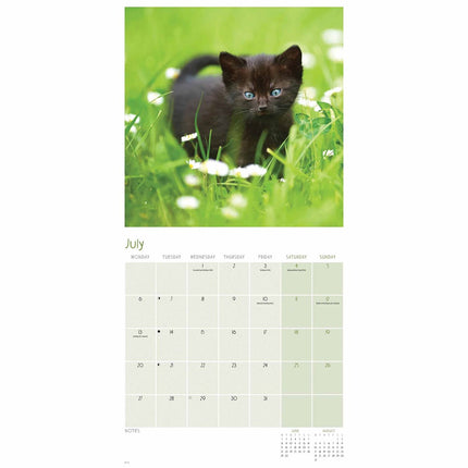 CarouselCalendars Zwarte Katten Kalender 2027