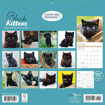 CarouselCalendars Zwarte Kittens Kalender 2026