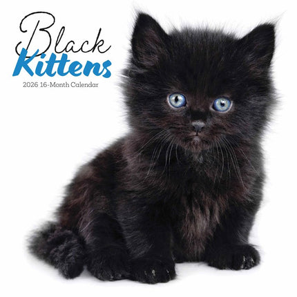 CarouselCalendars Zwarte Kittens Kalender 2026