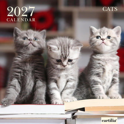 Cartilia Katten Kalender 2027