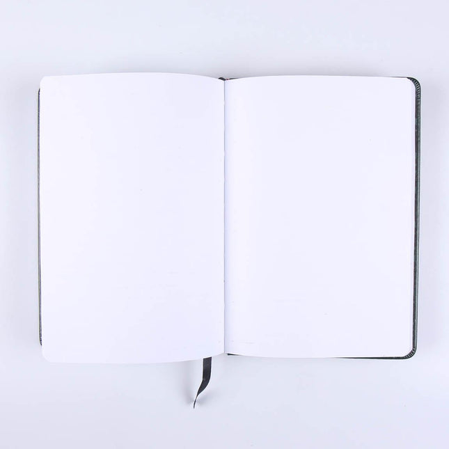 Cerda Notitieboek Harry Potter Slytherin