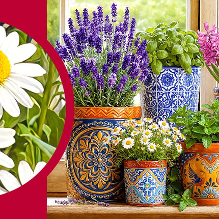 CherryPazzi Pottery in Bloom Puzzel 1000 Stukjes