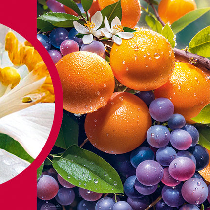 CherryPazzi Sunny Fruits Puzzel 1000 Stukjes