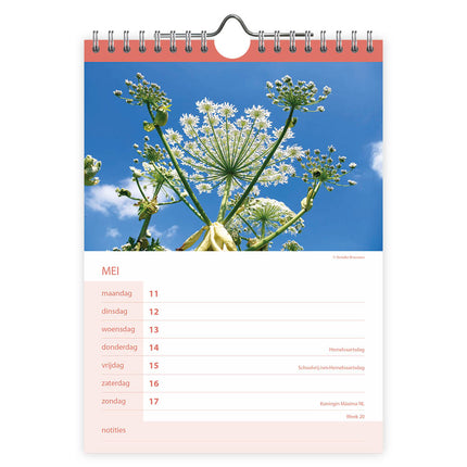 Comello Bloemen WEEKnotitiekalender 2027