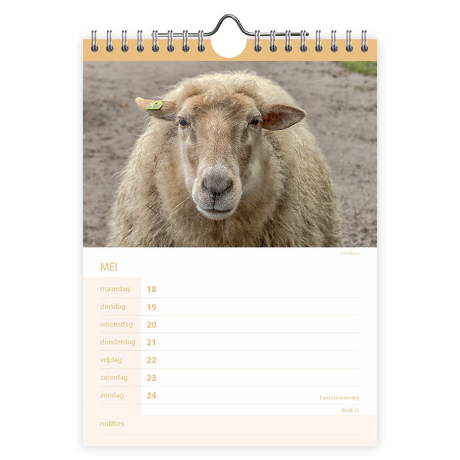 Comello Boerderijdieren WEEKnotitie Kalender 2026