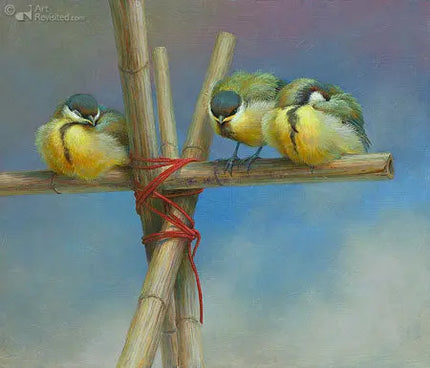 Comello Erik van Ommen Verjaardagskalender