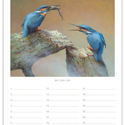 Comello Erik van Ommen Verjaardagskalender