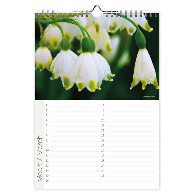 Comello Flowers Verjaardagskalender A4