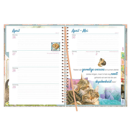 Comello Franciens Katten Bureau Agenda 2027 Blue