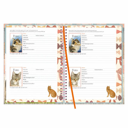 Comello Franciens Katten Bureau Agenda 2027 Blue